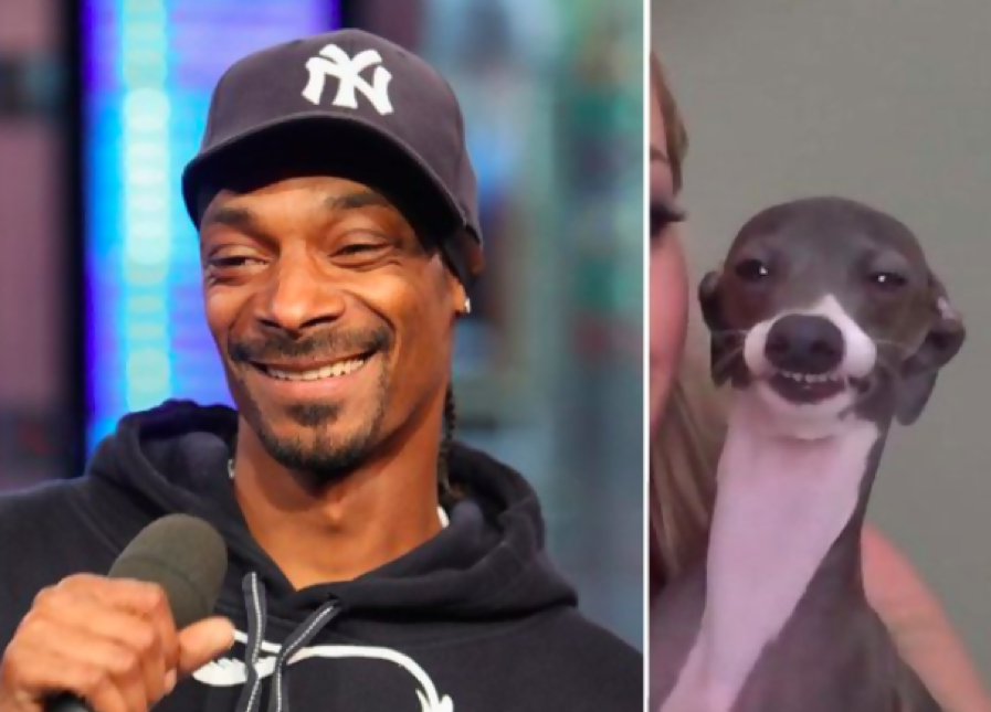 10 Celebrities Who Look Just Like Animals | popdisclosure - Part 2