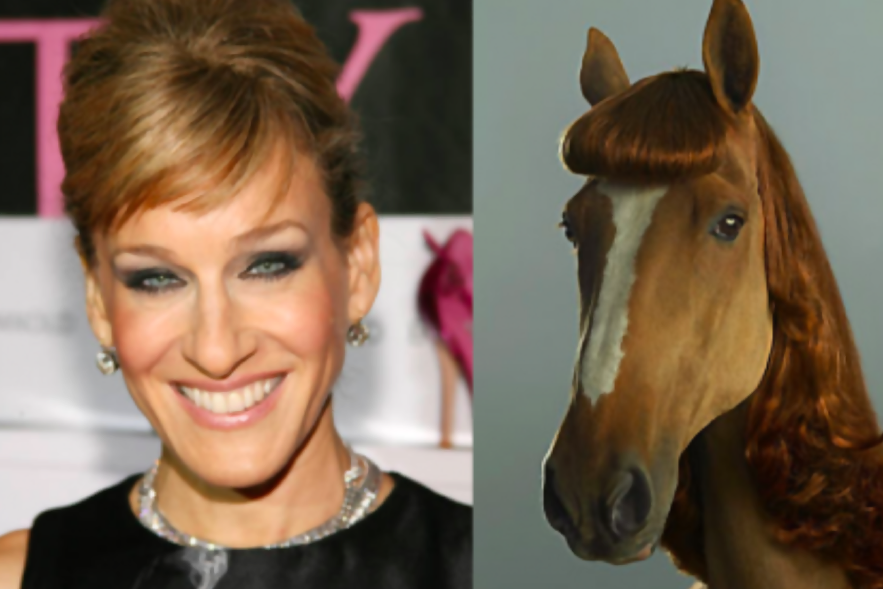 Sarah Jessica Parker horseface