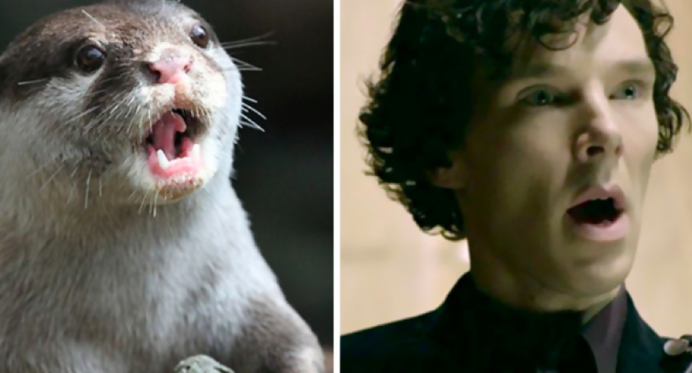 Benedict Cumberbatch