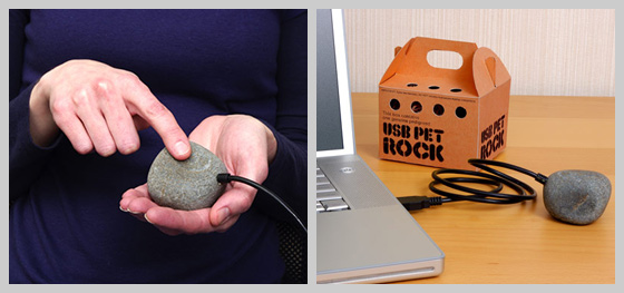 USB Pet Rock... a way to charge and store nothing!