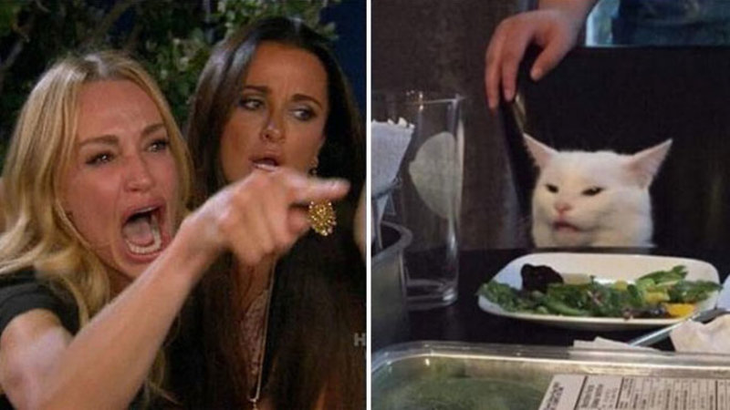 best memes of 2019 women yelling at cat 